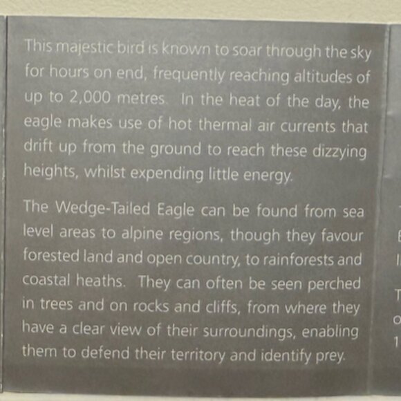 2014-P Australian Wedge-Tailed Eagle High Relief Silver PCGS PR70 DCam, signed - Picture 8 of 9